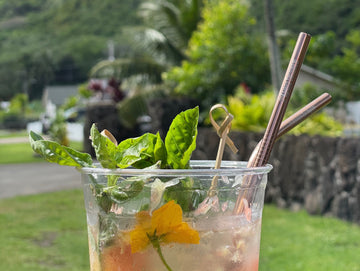 Reusable metal straw in Hawai'i